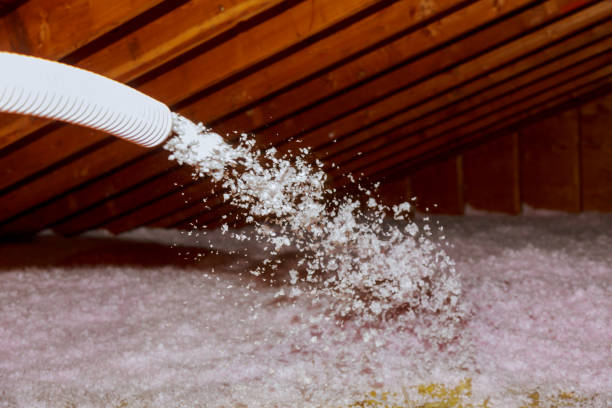 Best Best Insulation Companies  in Pine Island Center, FL