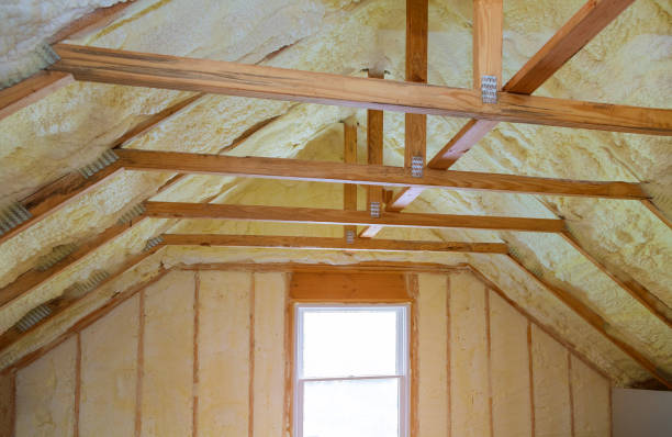 Best Insulation for New Construction  in Pine Island Center, FL