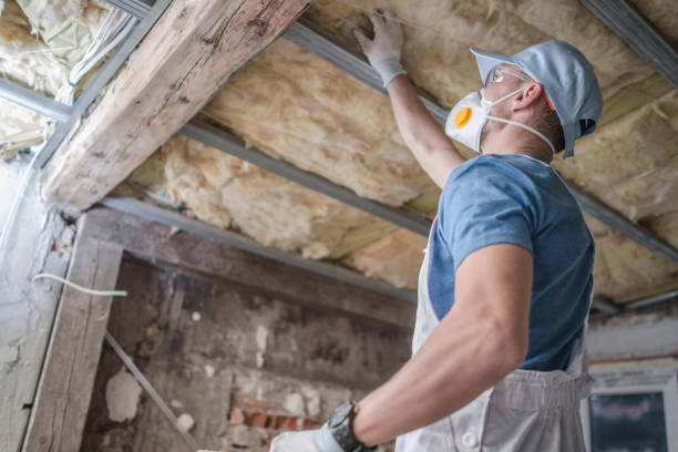 Best Residential Insulation Services  in Pine Island Center, FL