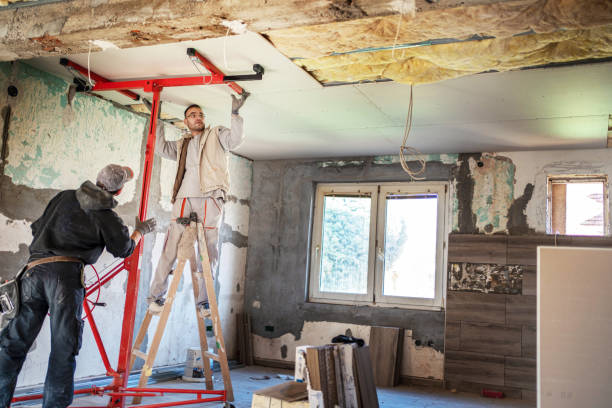 Best Energy-efficient Insulation  in Pine Island Center, FL