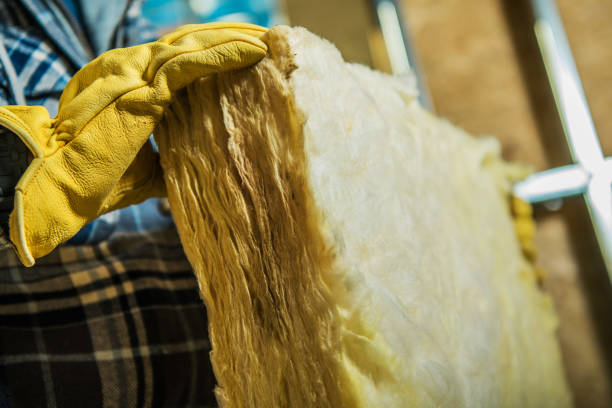 Best Spray Foam Insulation  in Pine Island Center, FL