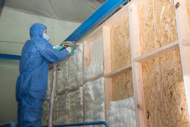 Best Local Insulation Services  in Pine Island Center, FL